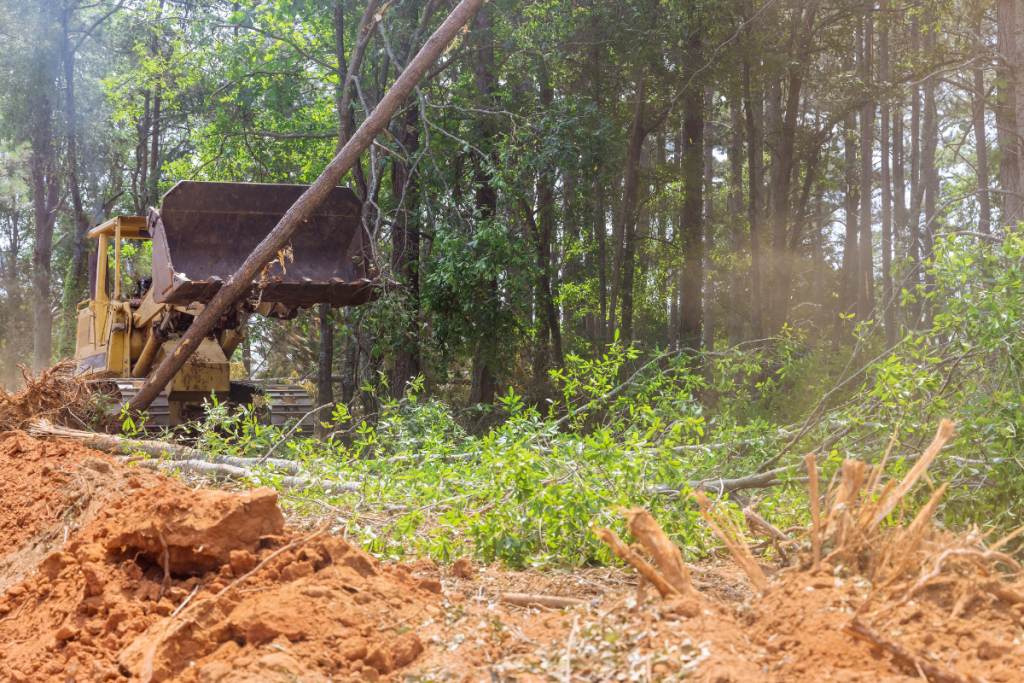 Contractor tearing down trees for land clearing Alabama